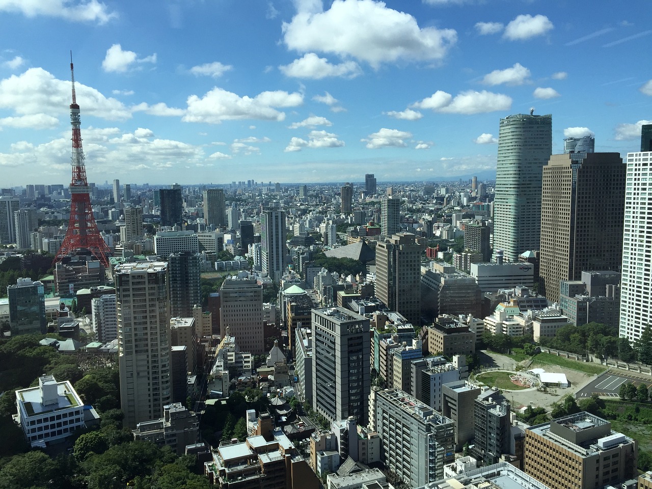 府从蕾 第5页