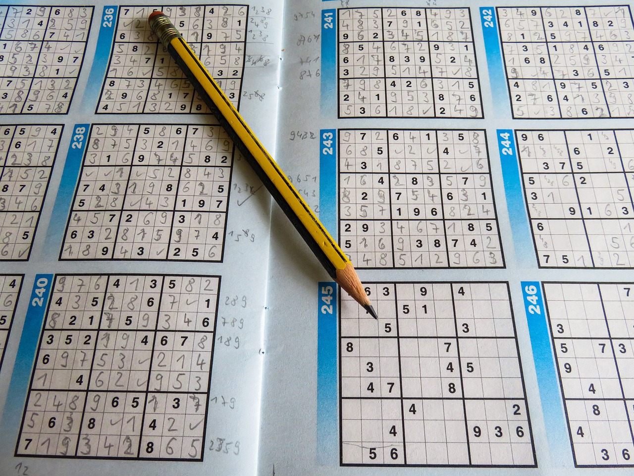 二四六香港资料期期中准,实践评估解答解释计划_动感版67.764