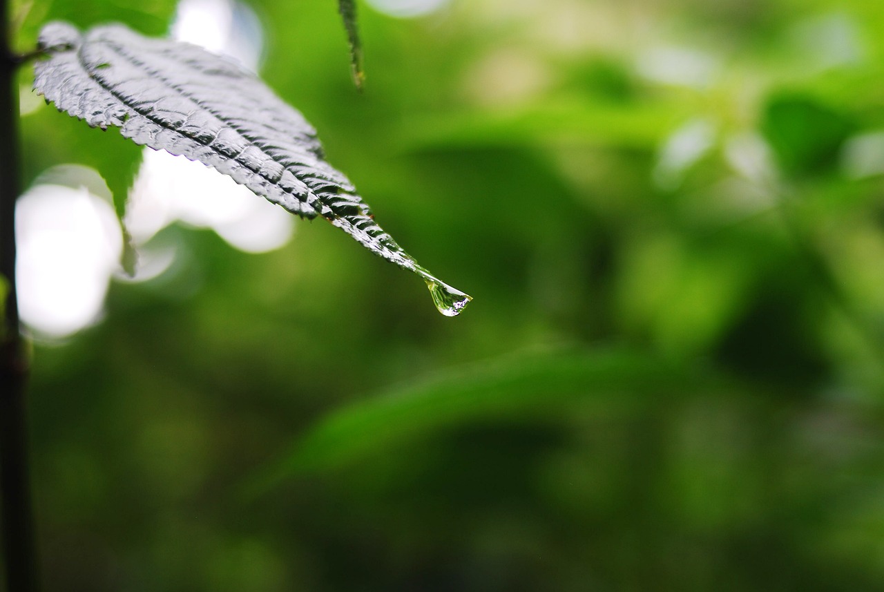 湖北随州二中最新动态更新