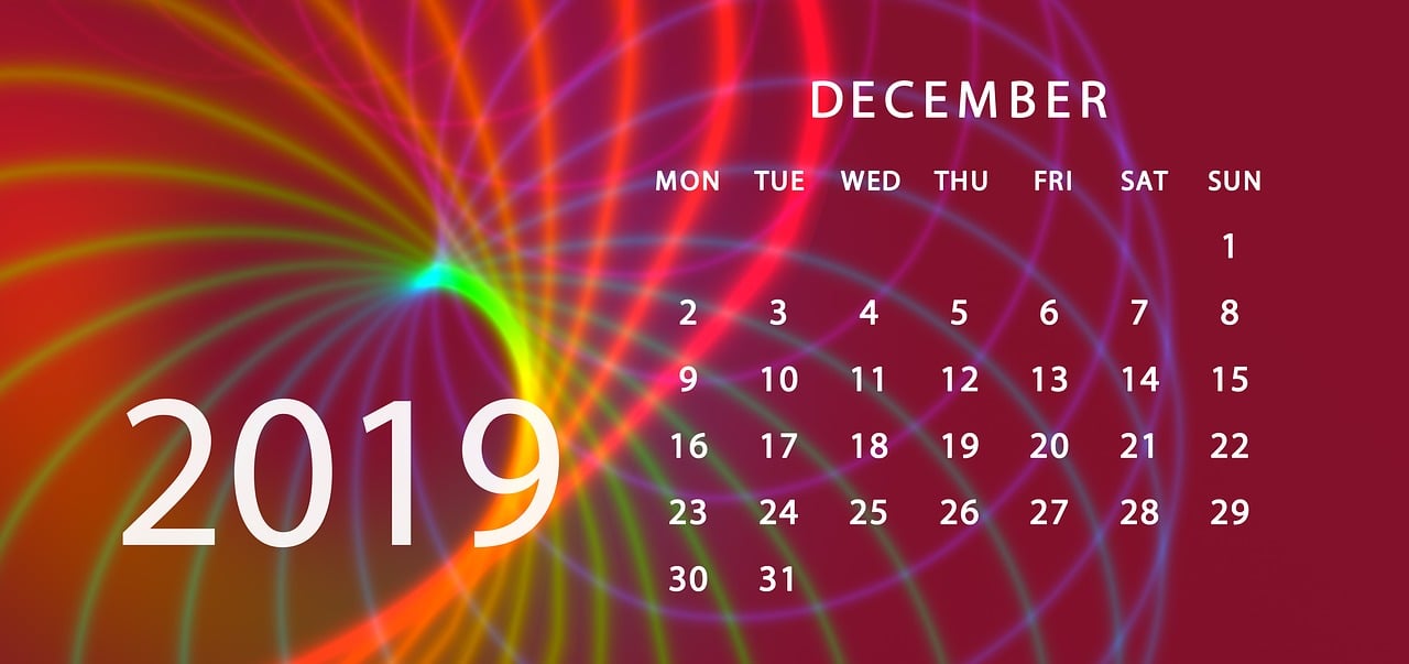 2024澳门天天开好彩大全app，高度协调实施，拍照版ZF204.2238